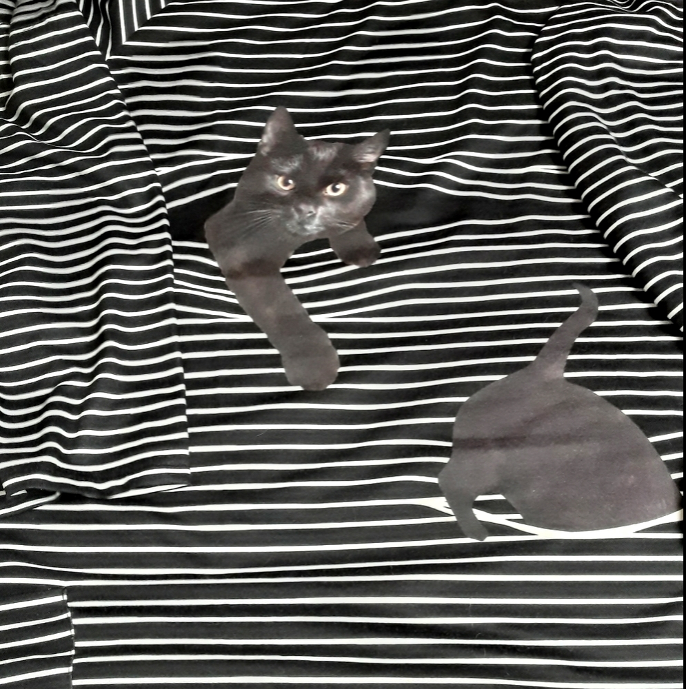 Peekaboo kitty long sleeve shirt